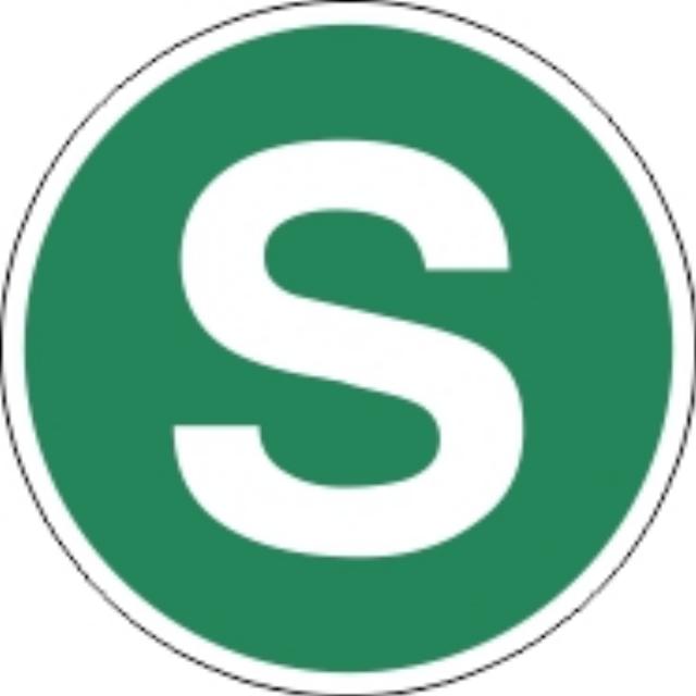 Small S Sticker (Green Circle) – 13cm