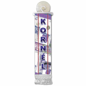 Mini Flag with Name F-L